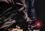 Image of US Marines Okinawa Ryukyu Islands, 1945, second 13 stock footage video 65675052762