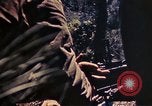 Image of US Marines Okinawa Ryukyu Islands, 1945, second 14 stock footage video 65675052762
