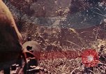 Image of US Marines Okinawa Ryukyu Islands, 1945, second 31 stock footage video 65675052762