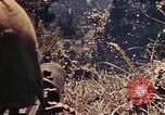 Image of US Marines Okinawa Ryukyu Islands, 1945, second 34 stock footage video 65675052762