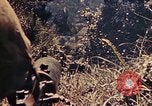 Image of US Marines Okinawa Ryukyu Islands, 1945, second 35 stock footage video 65675052762
