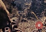 Image of US Marines Okinawa Ryukyu Islands, 1945, second 36 stock footage video 65675052762