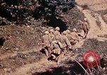 Image of US Marines Okinawa Ryukyu Islands, 1945, second 20 stock footage video 65675052763