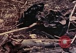 Image of demolished US tanks Okinawa Ryukyu Islands, 1945, second 29 stock footage video 65675052764