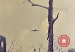 Image of 1st Battalion 1st Marines Okinawa Ryukyu Islands, 1945, second 13 stock footage video 65675052765