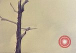 Image of 1st Battalion 1st Marines Okinawa Ryukyu Islands, 1945, second 15 stock footage video 65675052765
