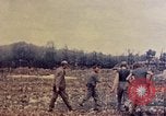Image of 1st Battalion 1st Marines Okinawa Ryukyu Islands, 1945, second 55 stock footage video 65675052765