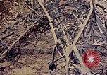 Image of 1st Battalion 1st Marines Shuri Okinawa Ryukyu Islands, 1945, second 1 stock footage video 65675052766