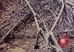 Image of 1st Battalion 1st Marines Shuri Okinawa Ryukyu Islands, 1945, second 3 stock footage video 65675052766