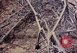 Image of 1st Battalion 1st Marines Shuri Okinawa Ryukyu Islands, 1945, second 4 stock footage video 65675052766