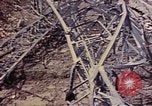 Image of 1st Battalion 1st Marines Shuri Okinawa Ryukyu Islands, 1945, second 5 stock footage video 65675052766