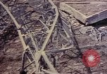 Image of 1st Battalion 1st Marines Shuri Okinawa Ryukyu Islands, 1945, second 6 stock footage video 65675052766