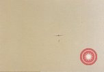 Image of 1st Battalion 1st Marines Shuri Okinawa Ryukyu Islands, 1945, second 23 stock footage video 65675052766