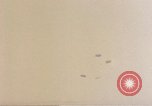 Image of 1st Battalion 1st Marines Shuri Okinawa Ryukyu Islands, 1945, second 30 stock footage video 65675052766