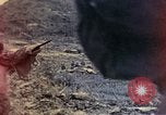 Standbild Vereinigten Staaten Marines Shuri Okinawa Ryukyu Inseln, 1945, aus Sekunde 6 historischem Filmmaterial Videoclip 65675052768