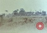 Image 6e Marines 2e Bataillon 22e Régiment Naha Okinawa îles Ryukyu, 1945, de la seconde 28 séquences d'archives historiques vidéo 65675052772