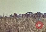 Image of 6th Marines 2nd Battalion 22nd Regiment Naha Okinawa Ryukyu Islands, 1945, second 1 stock footage video 65675052773