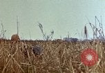 Image of 6th Marines 2nd Battalion 22nd Regiment Naha Okinawa Ryukyu Islands, 1945, second 10 stock footage video 65675052773