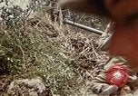 Image of 6th Marines 2nd Battalion 22nd Regiment Naha Okinawa Ryukyu Islands, 1945, second 40 stock footage video 65675052773