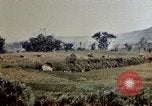 Image of 6th Marines 2nd Battalion 22nd Regiment Naha Okinawa Ryukyu Islands, 1945, second 50 stock footage video 65675052775