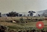 Image of 6th Marines 2nd Battalion 22nd Regiment Naha Okinawa Ryukyu Islands, 1945, second 51 stock footage video 65675052775