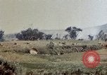 Image of 6th Marines 2nd Battalion 22nd Regiment Naha Okinawa Ryukyu Islands, 1945, second 54 stock footage video 65675052775