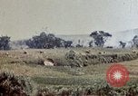 Image of 6th Marines 2nd Battalion 22nd Regiment Naha Okinawa Ryukyu Islands, 1945, second 55 stock footage video 65675052775