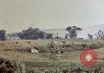 Image of 6th Marines 2nd Battalion 22nd Regiment Naha Okinawa Ryukyu Islands, 1945, second 56 stock footage video 65675052775