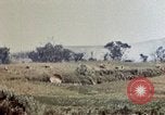 Image of 6th Marines 2nd Battalion 22nd Regiment Naha Okinawa Ryukyu Islands, 1945, second 57 stock footage video 65675052775