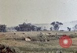 Image of 6th Marines 2nd Battalion 22nd Regiment Naha Okinawa Ryukyu Islands, 1945, second 59 stock footage video 65675052775