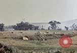 Image of 6th Marines 2nd Battalion 22nd Regiment Naha Okinawa Ryukyu Islands, 1945, second 61 stock footage video 65675052775