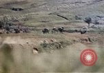 Image of 6th Marines 2nd Battalion 22nd Regiment Naha Okinawa Ryukyu Islands, 1945, second 50 stock footage video 65675052776