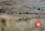 Image of 6th Marines 2nd Battalion 22nd Regiment Naha Okinawa Ryukyu Islands, 1945, second 54 stock footage video 65675052776