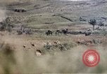 Image of 6th Marines 2nd Battalion 22nd Regiment Naha Okinawa Ryukyu Islands, 1945, second 56 stock footage video 65675052776