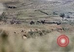Image of 6th Marines 2nd Battalion 22nd Regiment Naha Okinawa Ryukyu Islands, 1945, second 57 stock footage video 65675052776
