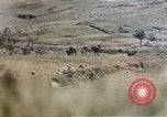Image of 6th Marines 2nd Battalion 22nd Regiment Naha Okinawa Ryukyu Islands, 1945, second 62 stock footage video 65675052776