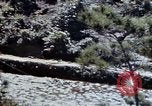 Image of 1st Marine Regiment Okinawa Ryukyu Islands, 1945, second 16 stock footage video 65675052780