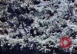 Image of 1st Marine Regiment Okinawa Ryukyu Islands, 1945, second 19 stock footage video 65675052780