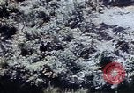 Image of 1st Marine Regiment Okinawa Ryukyu Islands, 1945, second 20 stock footage video 65675052780