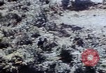 Image of 1st Marine Regiment Okinawa Ryukyu Islands, 1945, second 21 stock footage video 65675052780