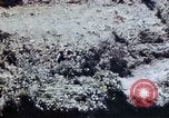 Image of 1st Marine Regiment Okinawa Ryukyu Islands, 1945, second 24 stock footage video 65675052780