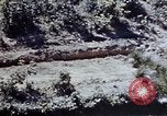 Image of 1st Marine Regiment Okinawa Ryukyu Islands, 1945, second 30 stock footage video 65675052780