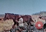 Image of 1st Marine Regiment Okinawa Ryukyu Islands, 1945, second 56 stock footage video 65675052780