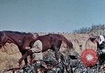 Image of 1st Marine Regiment Okinawa Ryukyu Islands, 1945, second 57 stock footage video 65675052780