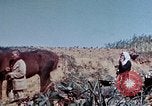 Image of 1st Marine Regiment Okinawa Ryukyu Islands, 1945, second 59 stock footage video 65675052780