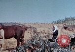 Image of 1st Marine Regiment Okinawa Ryukyu Islands, 1945, second 60 stock footage video 65675052780