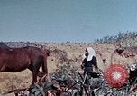 Image of 1st Marine Regiment Okinawa Ryukyu Islands, 1945, second 61 stock footage video 65675052780