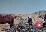 Image of 1st Marine Regiment Okinawa Ryukyu Islands, 1945, second 62 stock footage video 65675052780