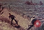 Immagine di Marines Okinawa isole Ryukyu, 1945, secondo 3 filmato di repertorio 65675052787