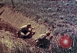 Immagine di Marines Okinawa isole Ryukyu, 1945, secondo 8 filmato di repertorio 65675052787